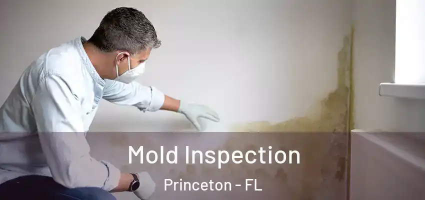  Mold Inspection Princeton - FL