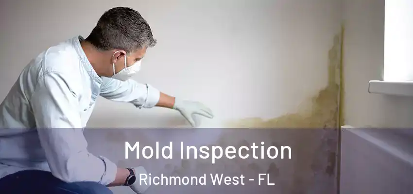  Mold Inspection Richmond West - FL