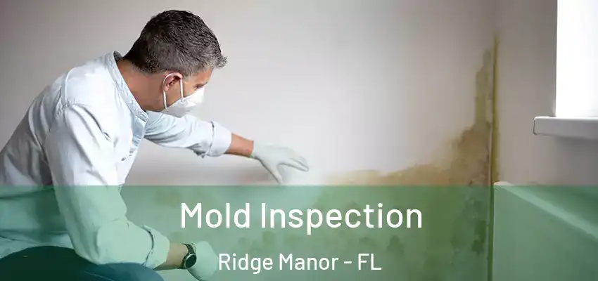 Mold Inspection Ridge Manor - FL