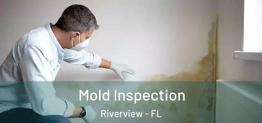 Mold Inspection Riverview - FL