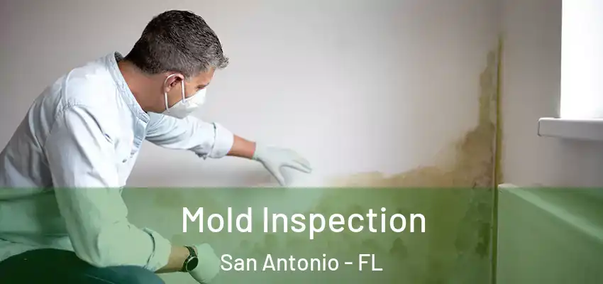Mold Inspection San Antonio - FL
