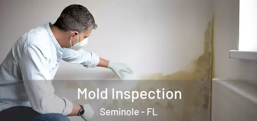  Mold Inspection Seminole - FL