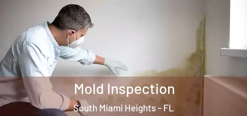  Mold Inspection South Miami Heights - FL