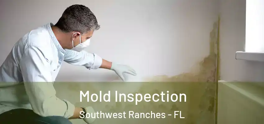 Mold Inspection Southwest Ranches - FL