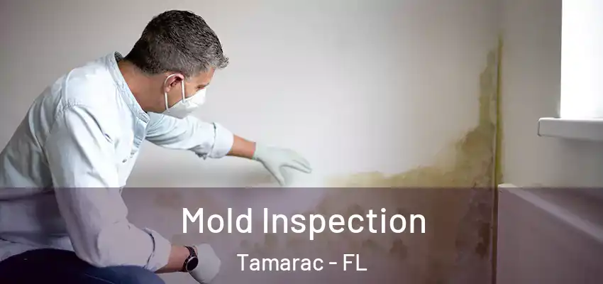  Mold Inspection Tamarac - FL