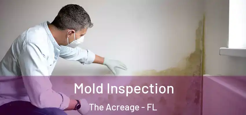  Mold Inspection The Acreage - FL
