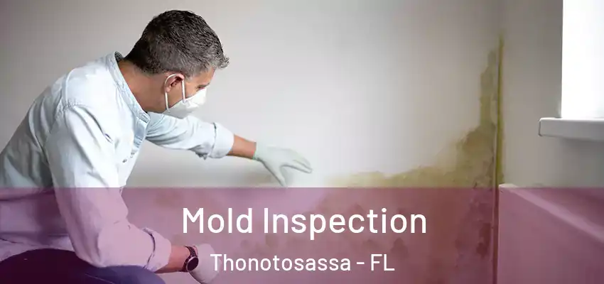 Mold Inspection Thonotosassa - FL