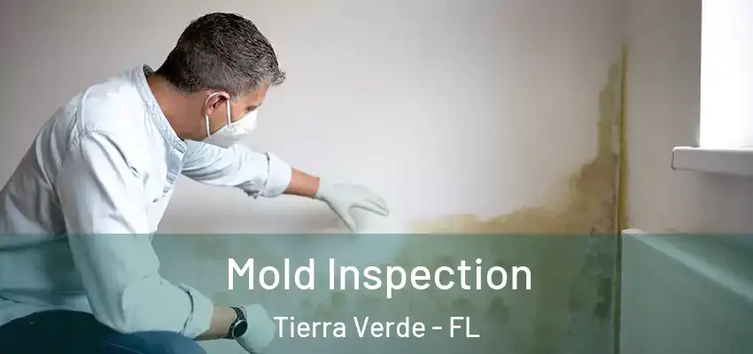  Mold Inspection Tierra Verde - FL
