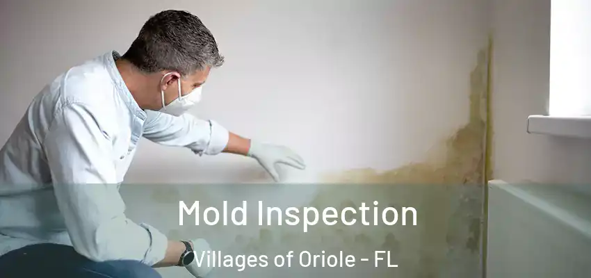 Mold Inspection Villages of Oriole - FL
