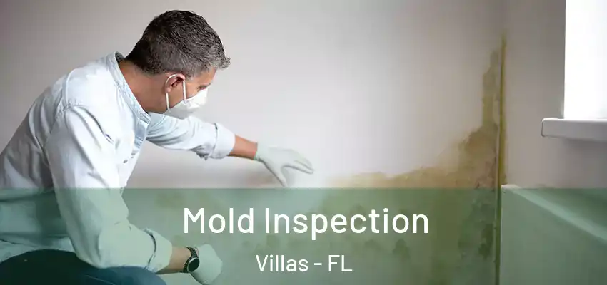  Mold Inspection Villas - FL