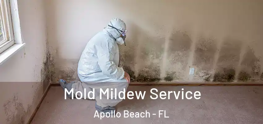 Mold Mildew Service Apollo Beach - FL