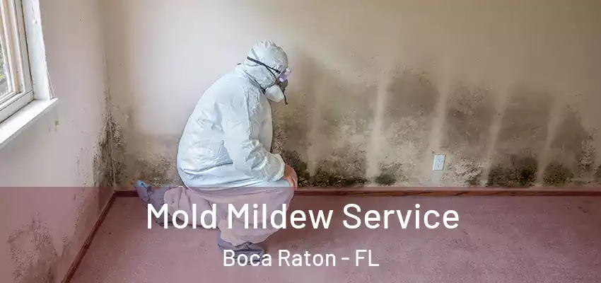  Mold Mildew Service Boca Raton - FL