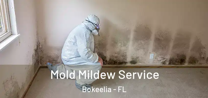  Mold Mildew Service Bokeelia - FL