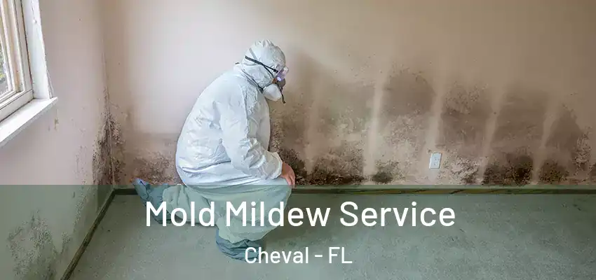 Mold Mildew Service Cheval - FL