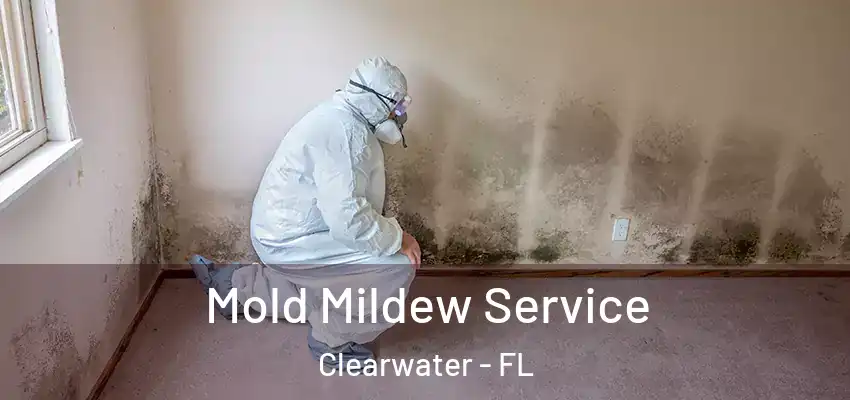  Mold Mildew Service Clearwater - FL