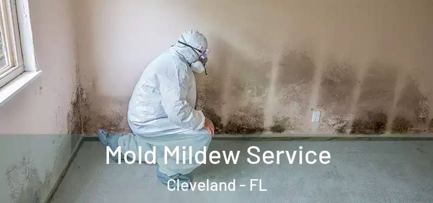 Mold Mildew Service Cleveland - FL
