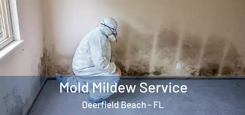 Mold Mildew Service Deerfield Beach - FL