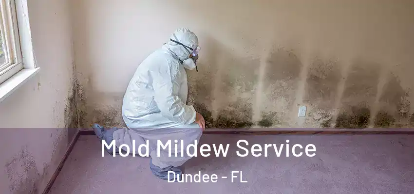  Mold Mildew Service Dundee - FL