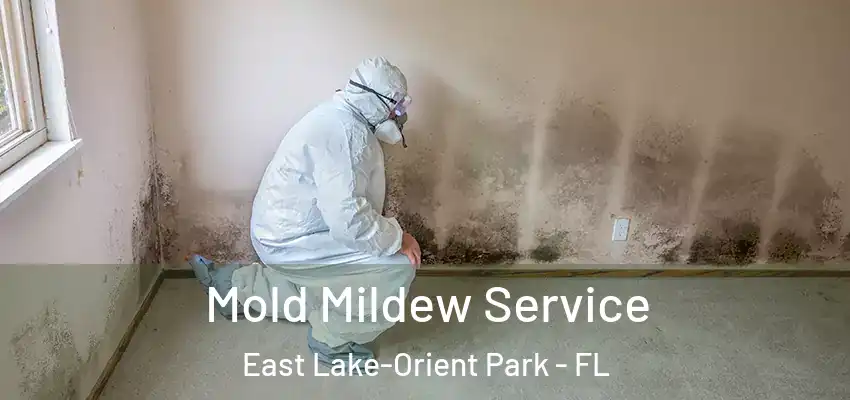Mold Mildew Service East Lake-Orient Park - FL
