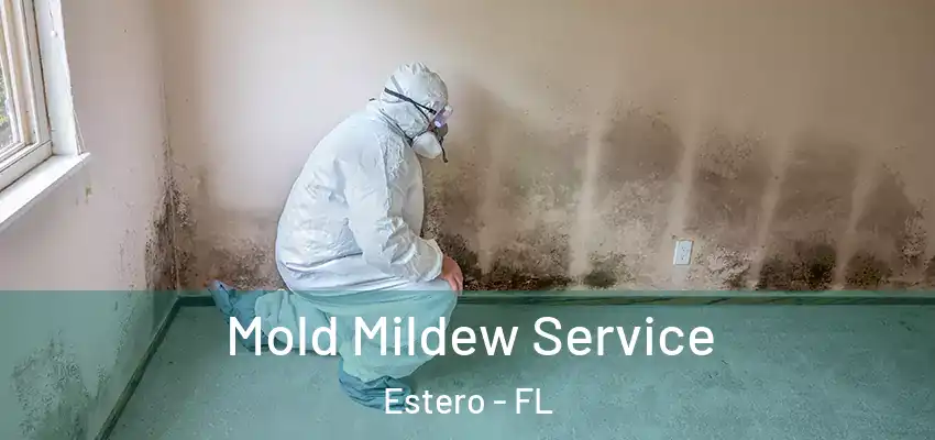 Mold Mildew Service Estero - FL