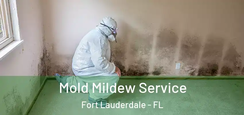  Mold Mildew Service Fort Lauderdale - FL