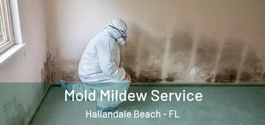  Mold Mildew Service Hallandale Beach - FL