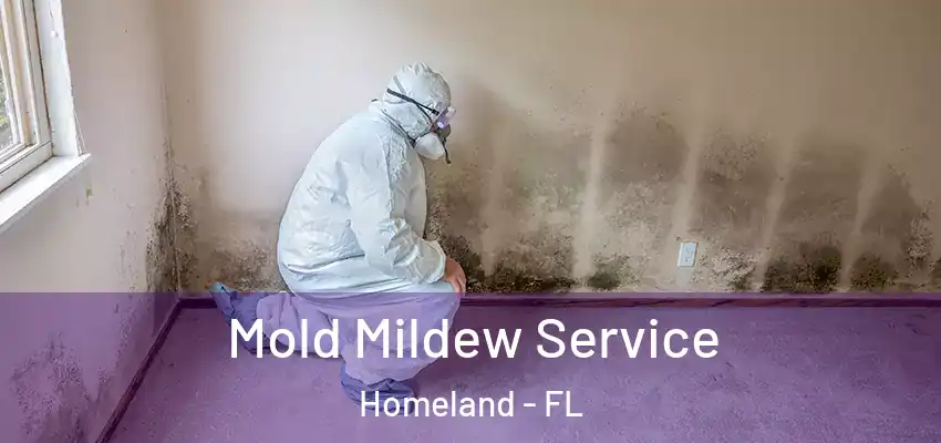 Mold Mildew Service Homeland - FL