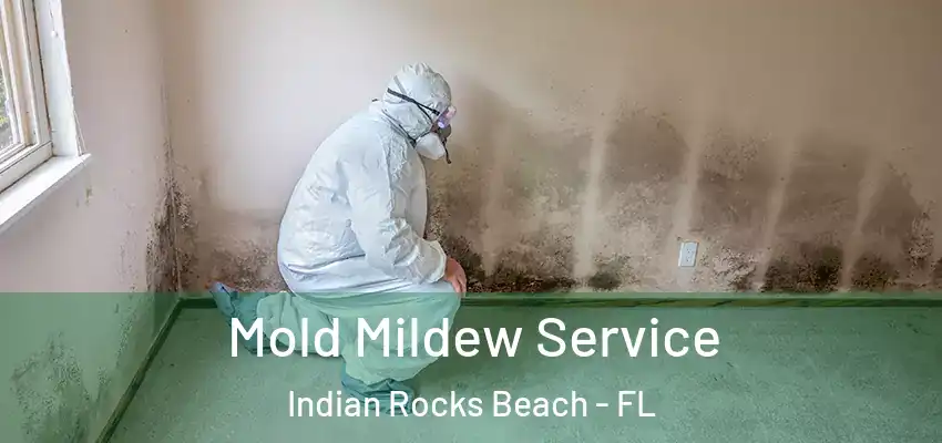 Mold Mildew Service Indian Rocks Beach - FL
