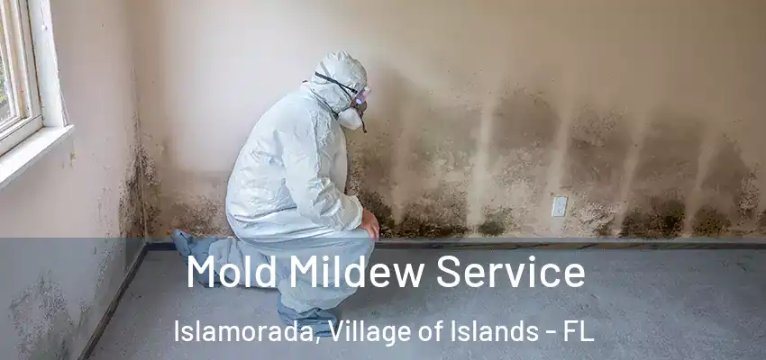 Mold Mildew Service Islamorada, Village of Islands - FL