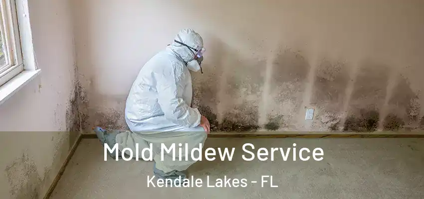  Mold Mildew Service Kendale Lakes - FL
