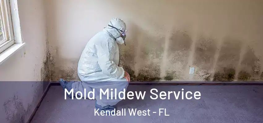  Mold Mildew Service Kendall West - FL