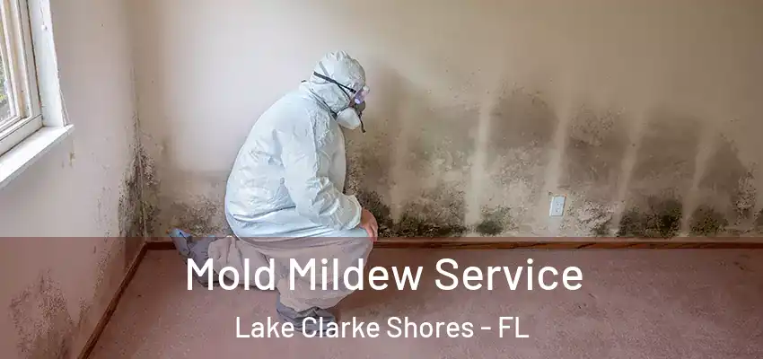Mold Mildew Service Lake Clarke Shores - FL