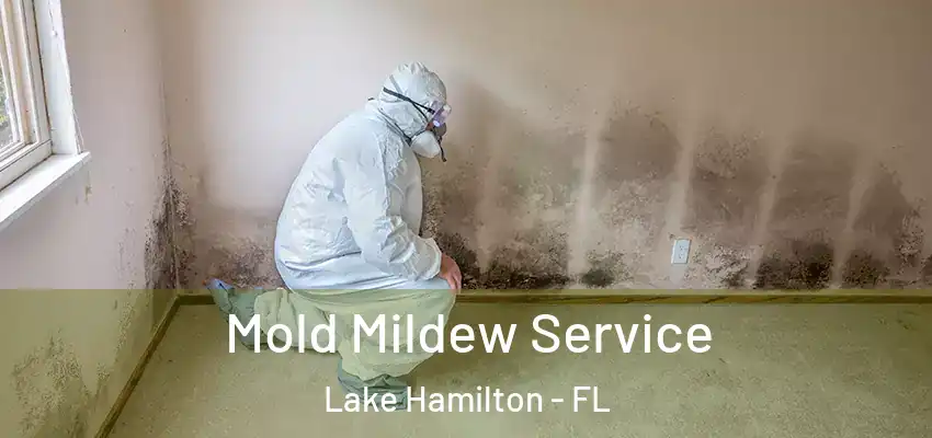  Mold Mildew Service Lake Hamilton - FL