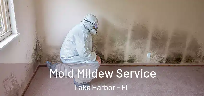  Mold Mildew Service Lake Harbor - FL