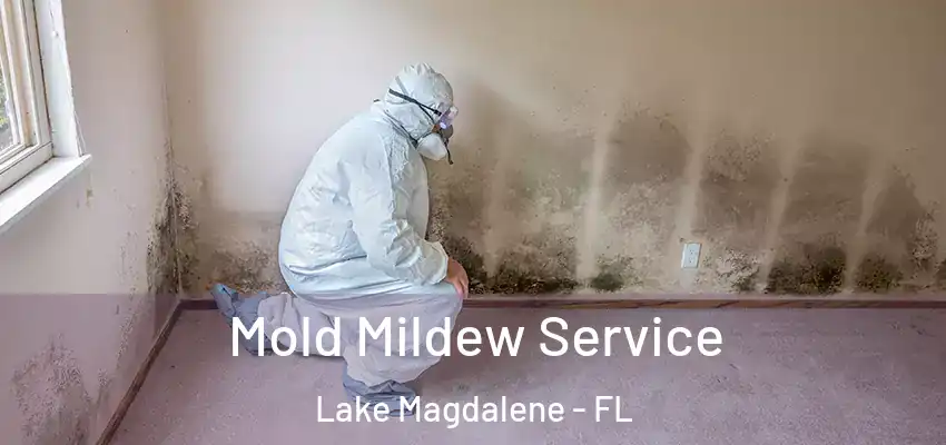 Mold Mildew Service Lake Magdalene - FL