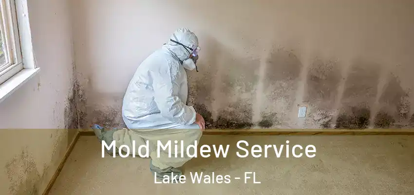 Mold Mildew Service Lake Wales - FL