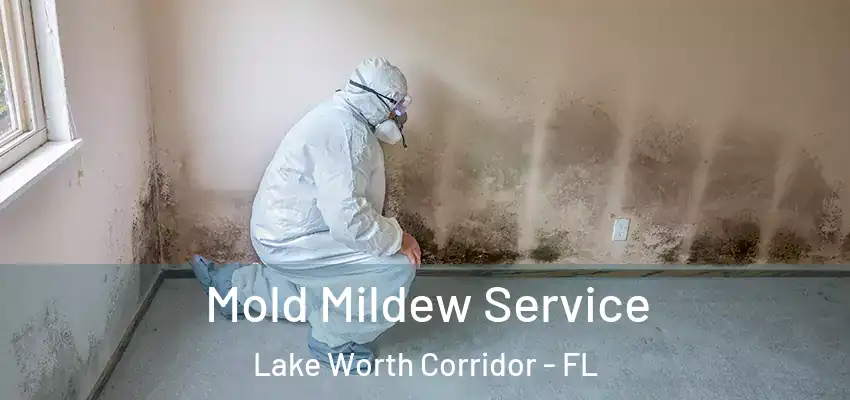  Mold Mildew Service Lake Worth Corridor - FL