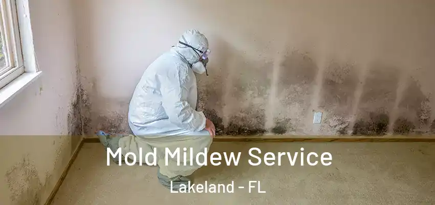  Mold Mildew Service Lakeland - FL