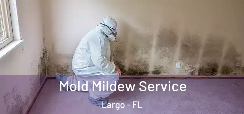  Mold Mildew Service Largo - FL