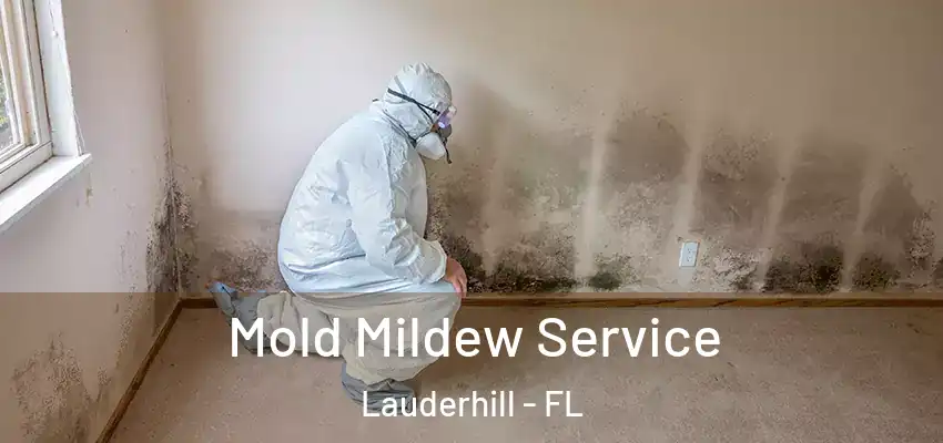  Mold Mildew Service Lauderhill - FL
