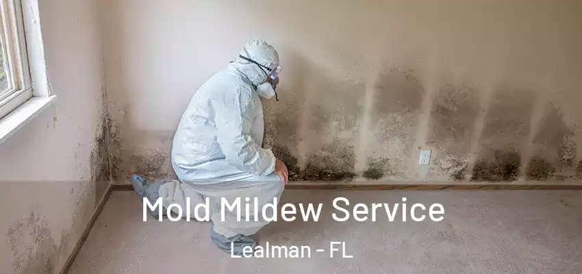 Mold Mildew Service Lealman - FL