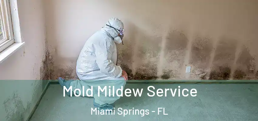 Mold Mildew Service Miami Springs - FL
