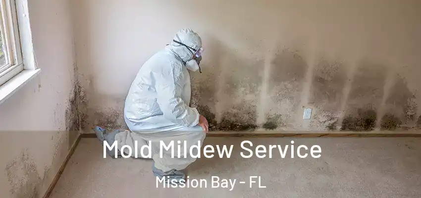  Mold Mildew Service Mission Bay - FL
