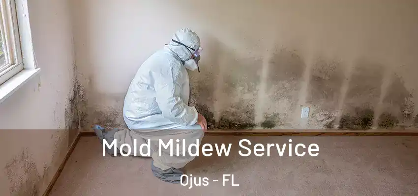 Mold Mildew Service Ojus - FL