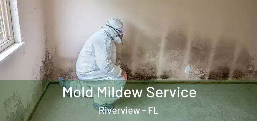 Mold Mildew Service Riverview - FL