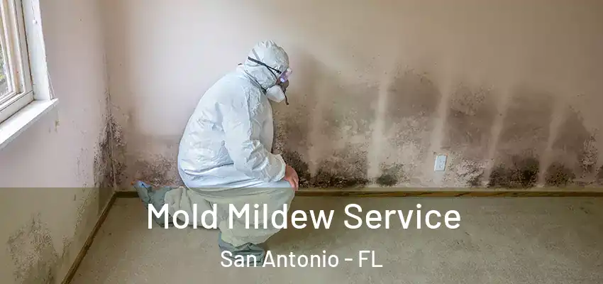  Mold Mildew Service San Antonio - FL