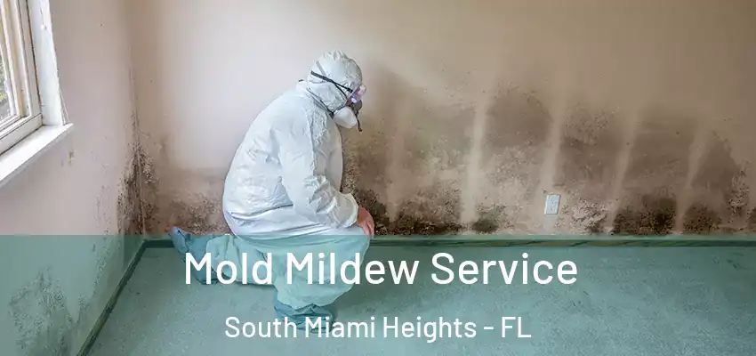 Mold Mildew Service South Miami Heights - FL