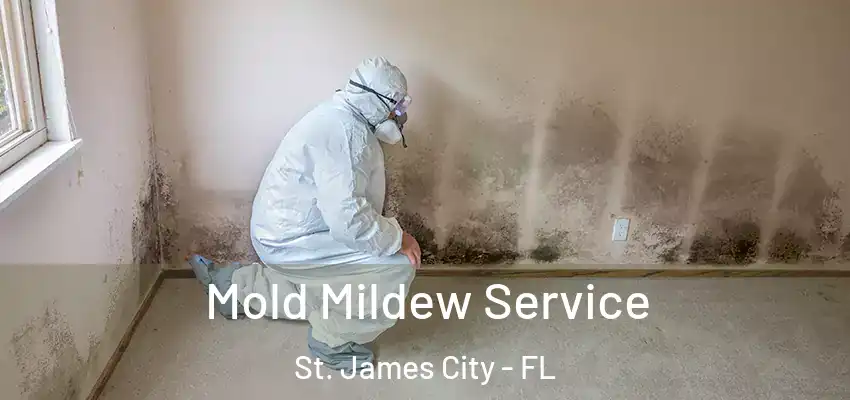 Mold Mildew Service St. James City - FL