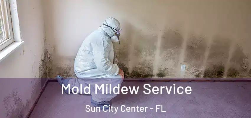 Mold Mildew Service Sun City Center - FL