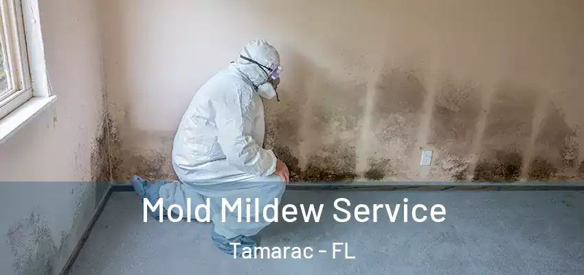  Mold Mildew Service Tamarac - FL
